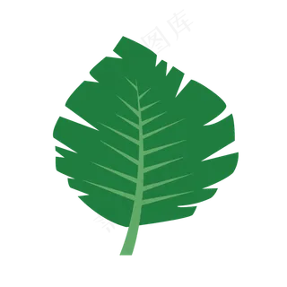 卡通绿色棕榈叶叶子图,免抠元素