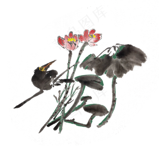 水墨荷花手绘花草