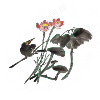 水墨荷花手绘花草