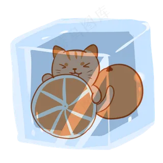 猫猫橘子冰块