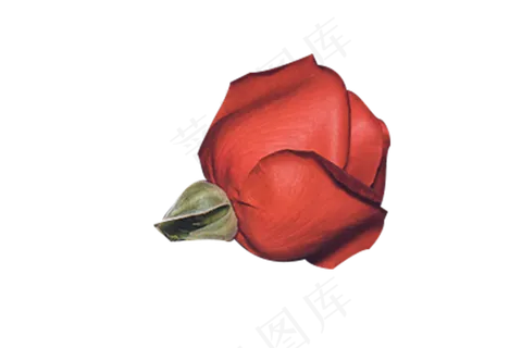 情人节红色断枝玫瑰花 情人节红色断枝玫瑰花