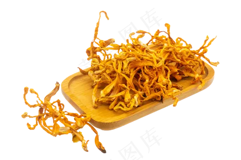 黄色虫草花药材