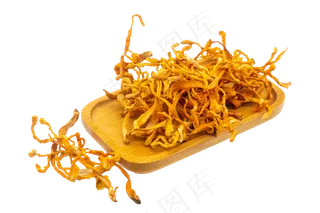 黄色虫草花药材