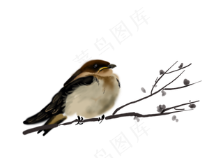 手绘国画古风小鸟,免抠元素