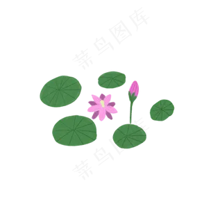 可爱手绘荷花荷叶扁平风格池塘