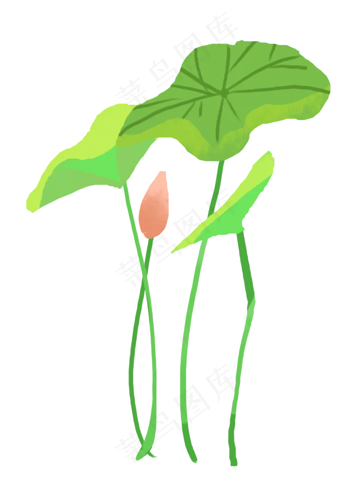 小满绿色荷叶(2480X3507(DPI:300))psd模版下载
