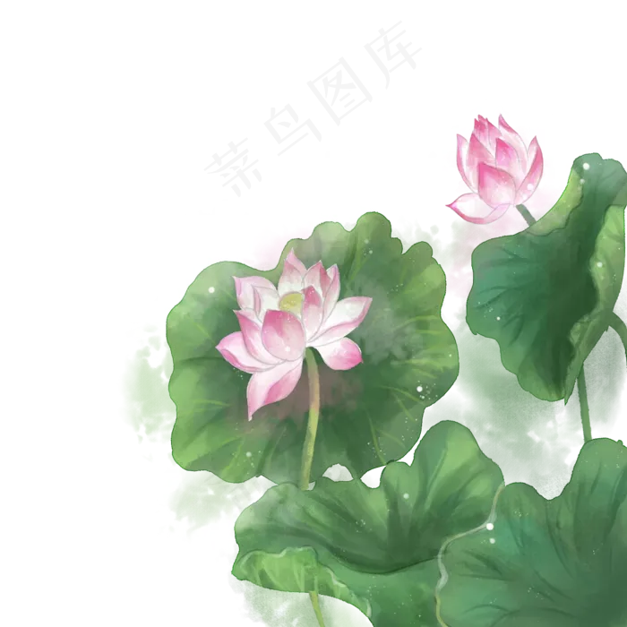 水墨水彩小清新荷花(2000X2000(DPI:300))psd模版下载