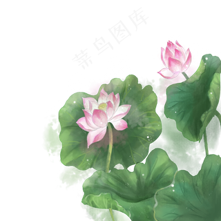 水墨水彩小清新荷花