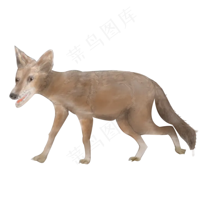 卡通豺狼水彩免抠png(2000X2000(DPI:300))psd模版下载