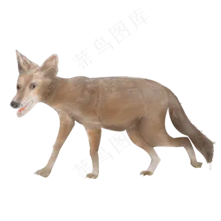 卡通豺狼水彩免抠png