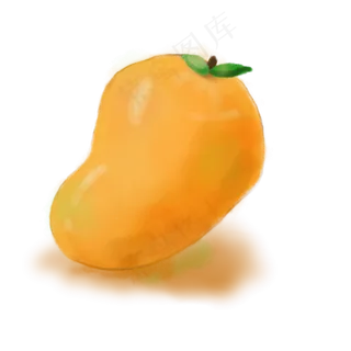 手绘风热带水果大芒果