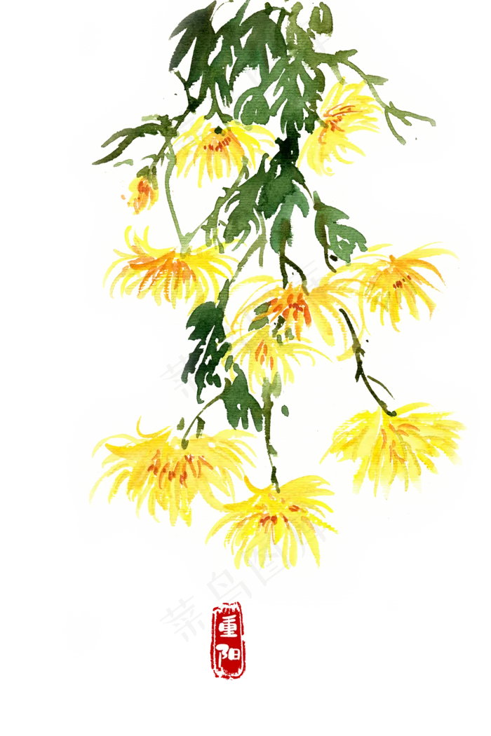 节气重阳菊花(4724X7087(DPI:300))psd模版下载