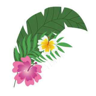 夏季夏天夏至植物花朵免扣素材