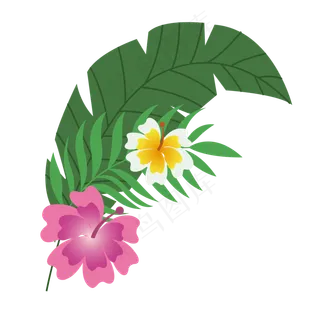 夏季夏天夏至植物花朵免扣素材