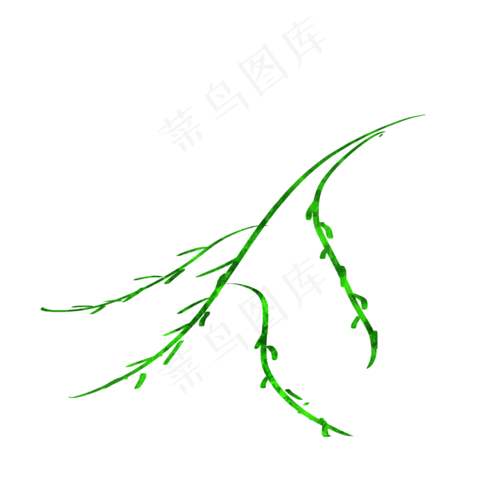 手绘柳树插画卡通风格