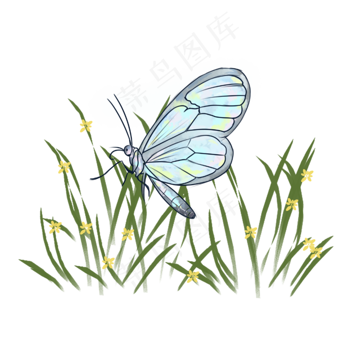 卡通蜻蜓手绘装饰