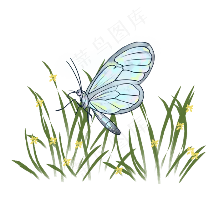 卡通蜻蜓手绘装饰(3000X3000(DPI:300))psd模版下载