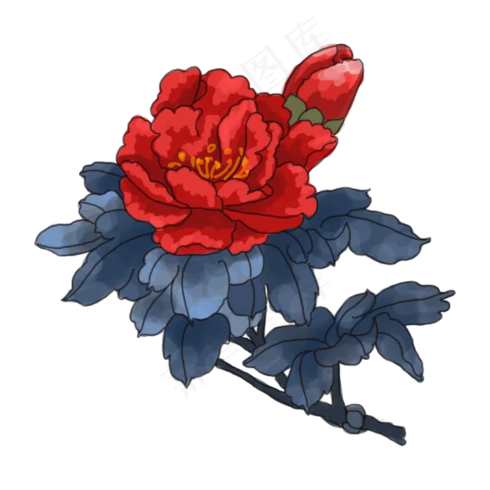 中国风手绘牡丹花卉插图,免抠元素