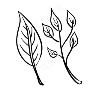 小号的水彩茶叶