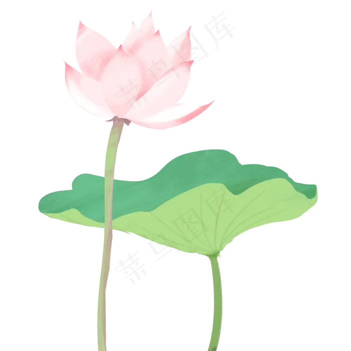 荷花荷叶手绘元素(2000X2000(DPI:300))psd模版下载
