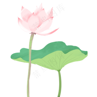 荷花荷叶手绘元素