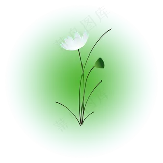 夏日荷花清新精美