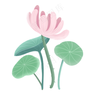 夏天清新插图