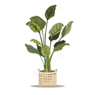 春天手绘植物大叶子盆栽,免抠元素
