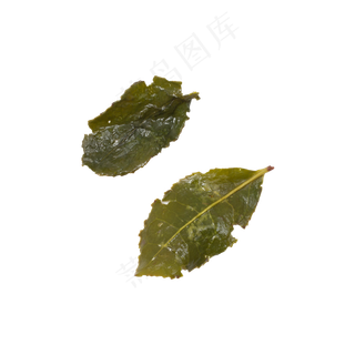 两片叶子实拍免抠