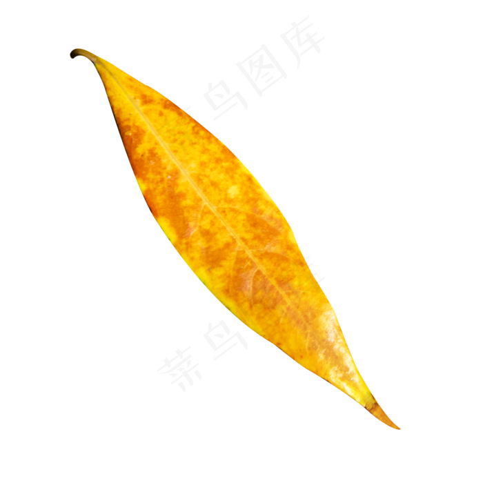 秋千的落叶(2000X2000(DPI:300))psd模版下载