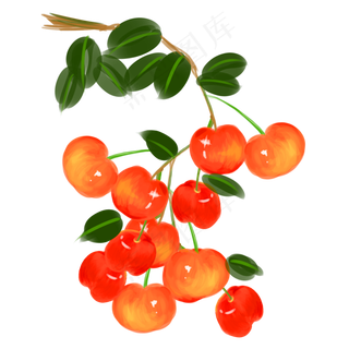 水彩手绘水果中国樱桃