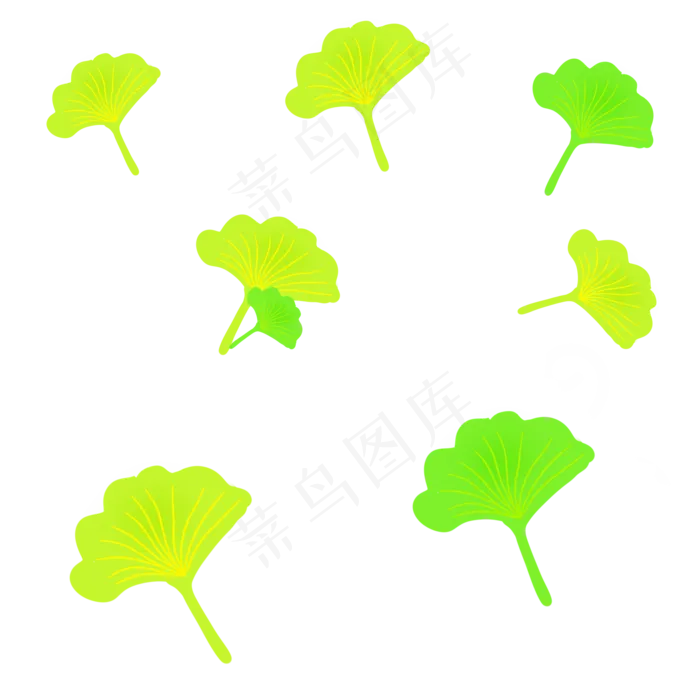 绿色植物叶子银杏叶(2000X2000(DPI:299))psd模版下载