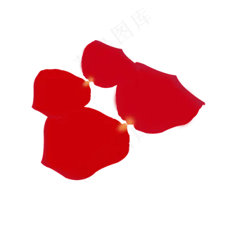 落下的四瓣红色的玫瑰花瓣