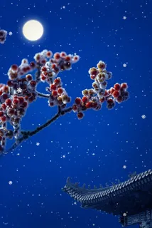 简约24节气二十四节气立冬传统节气冬至