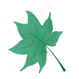 春季绿色枫叶大绿叶
