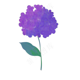 鲜花紫色植物花朵