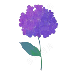 鲜花紫色植物花朵