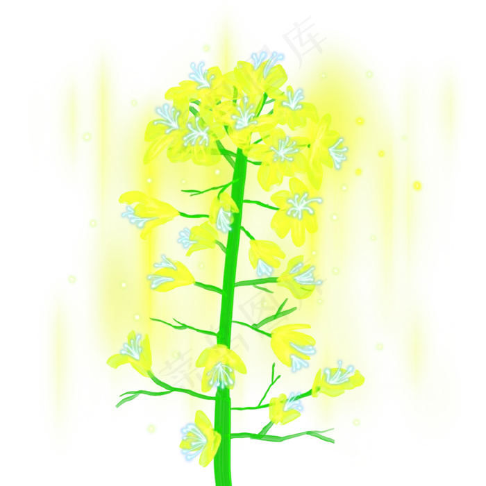 光感彩色荧光唯美油菜花,免抠元素(2000X2000(DPI:300))psd模版下载