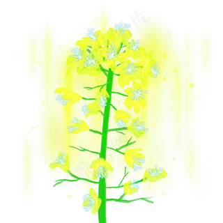 光感彩色荧光唯美油菜花,免抠元素