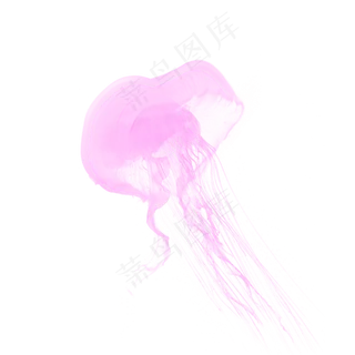 海洋生物紫色水母元素,免抠元素