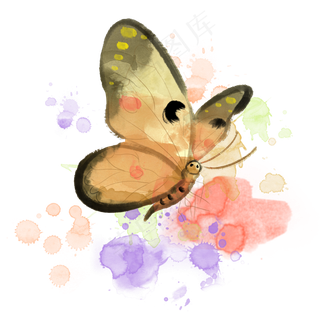 水彩蝴蝶