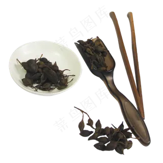 连翘中药药材,免抠元素