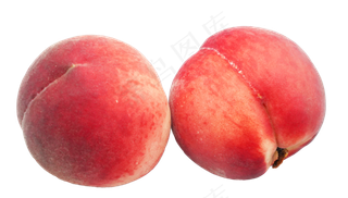 两个水果桃子,免抠元素