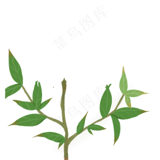 卡通植物枝条下载