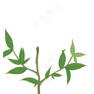 卡通植物枝条下载