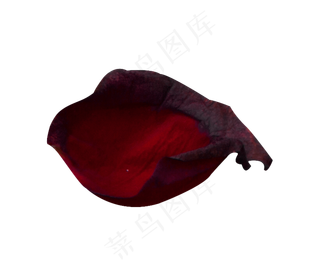 好看的红玫瑰花瓣