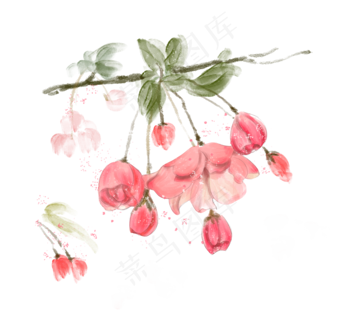 春天粉色海棠花水彩手绘免抠PNG(2115X2000(DPI:300))psd模版下载