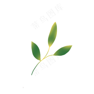 春天植物叶子下载