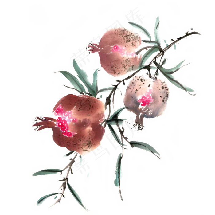 秋冬水果成熟的石榴(4724X4724(DPI:300))psd模版下载