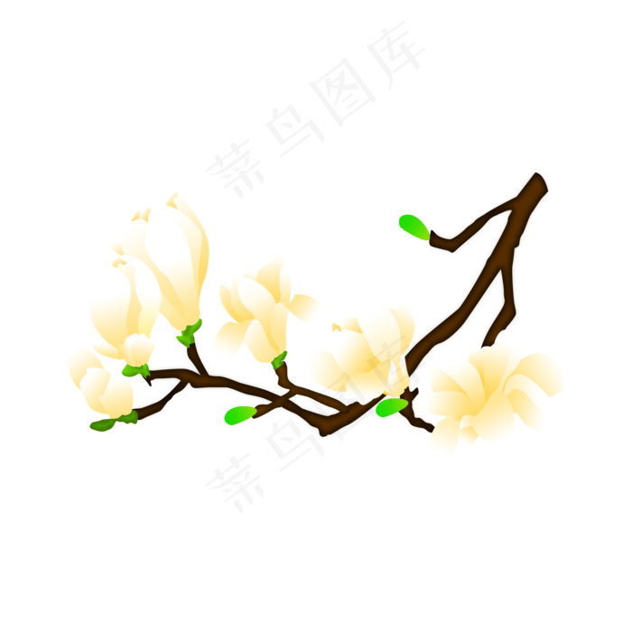 免扣卡通玉兰花黄色,免抠元素(2000X2000(DPI:300))psd模版下载